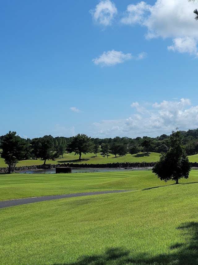 Helena International Country Club - Photo 5