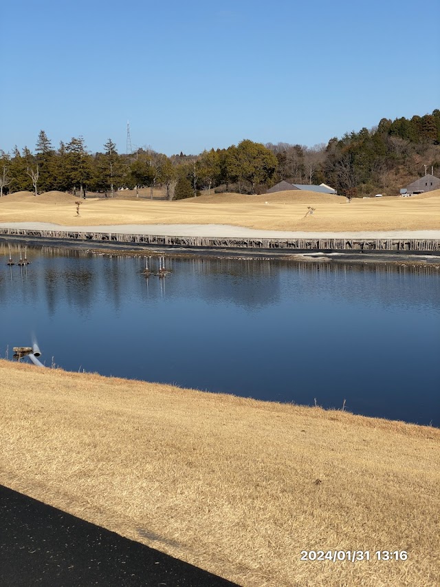 Helena International Country Club - Photo 3