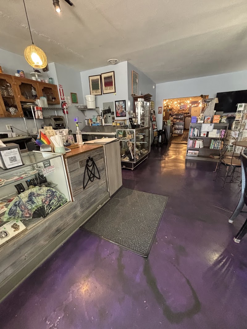 Cicada Books & Coffee photo 2