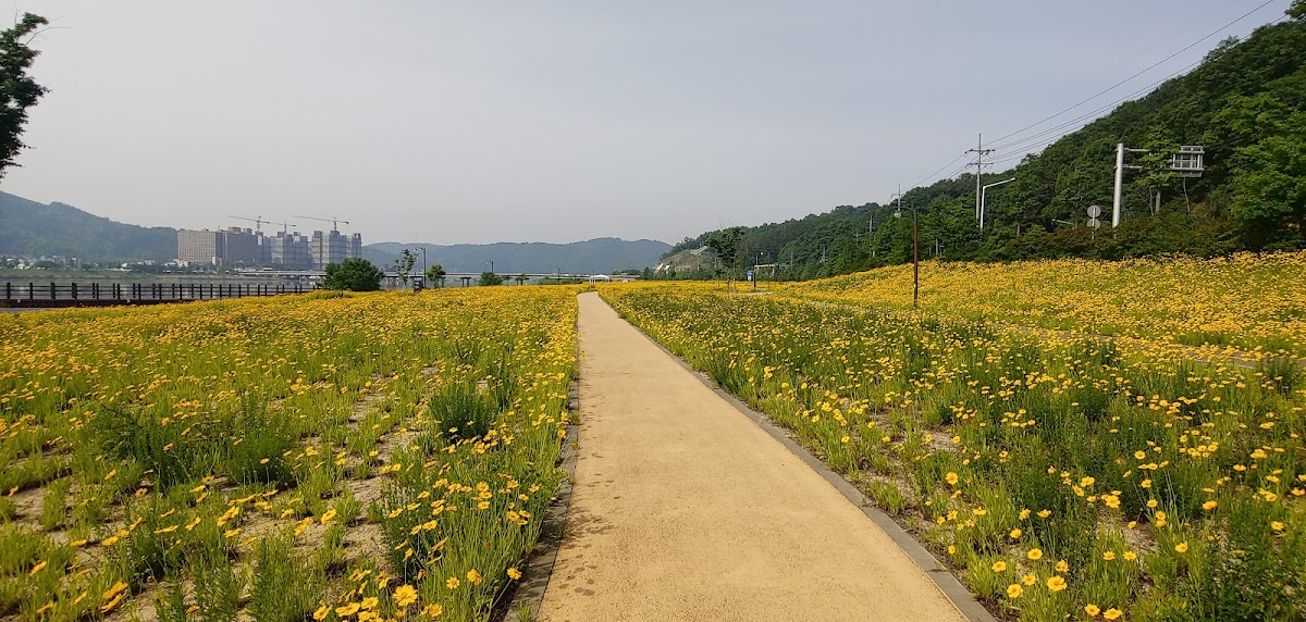 Andong Nakdong River