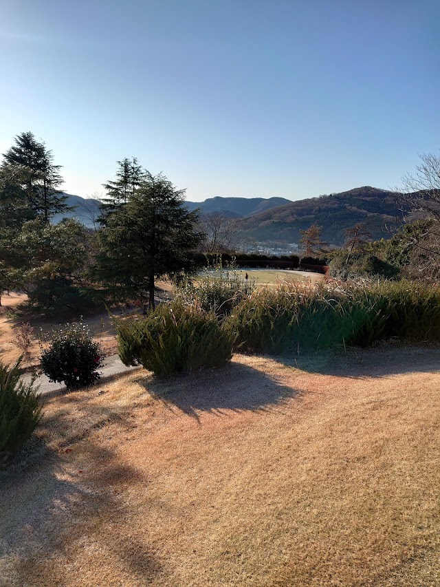Ogawa Country Club - Photo 6