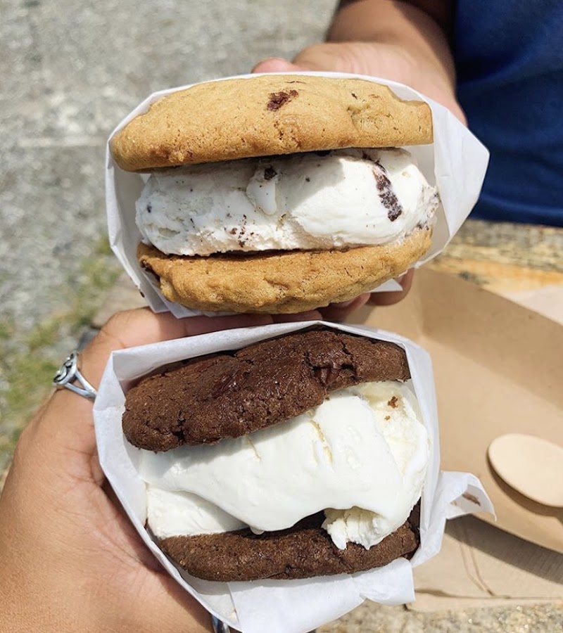 Blue Deer on Main photo 2