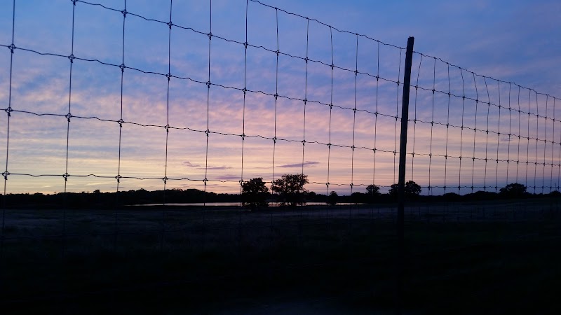 Blue Bar Ranch - Photo 5