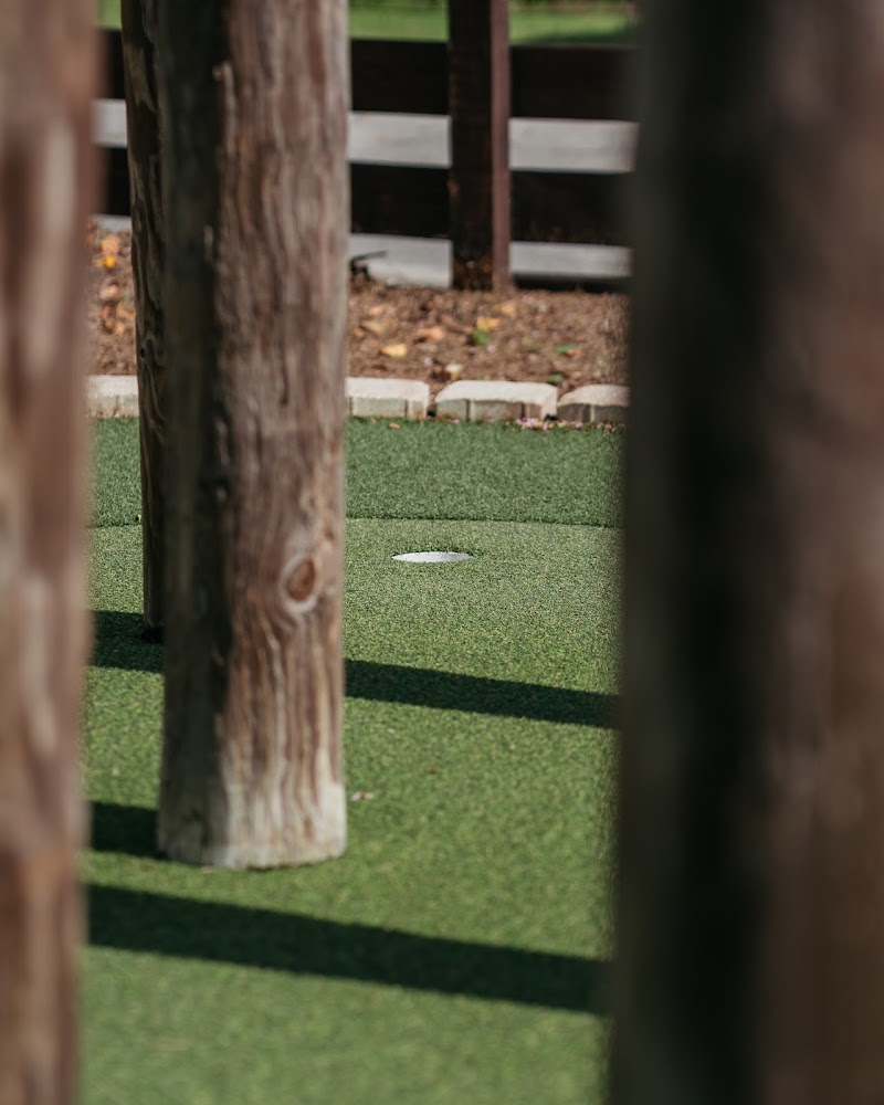 Mulligans Mini Golf photo 10