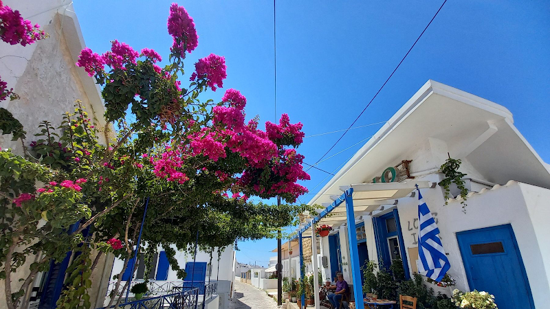 ΦΑΡΜΑΚίμωλος