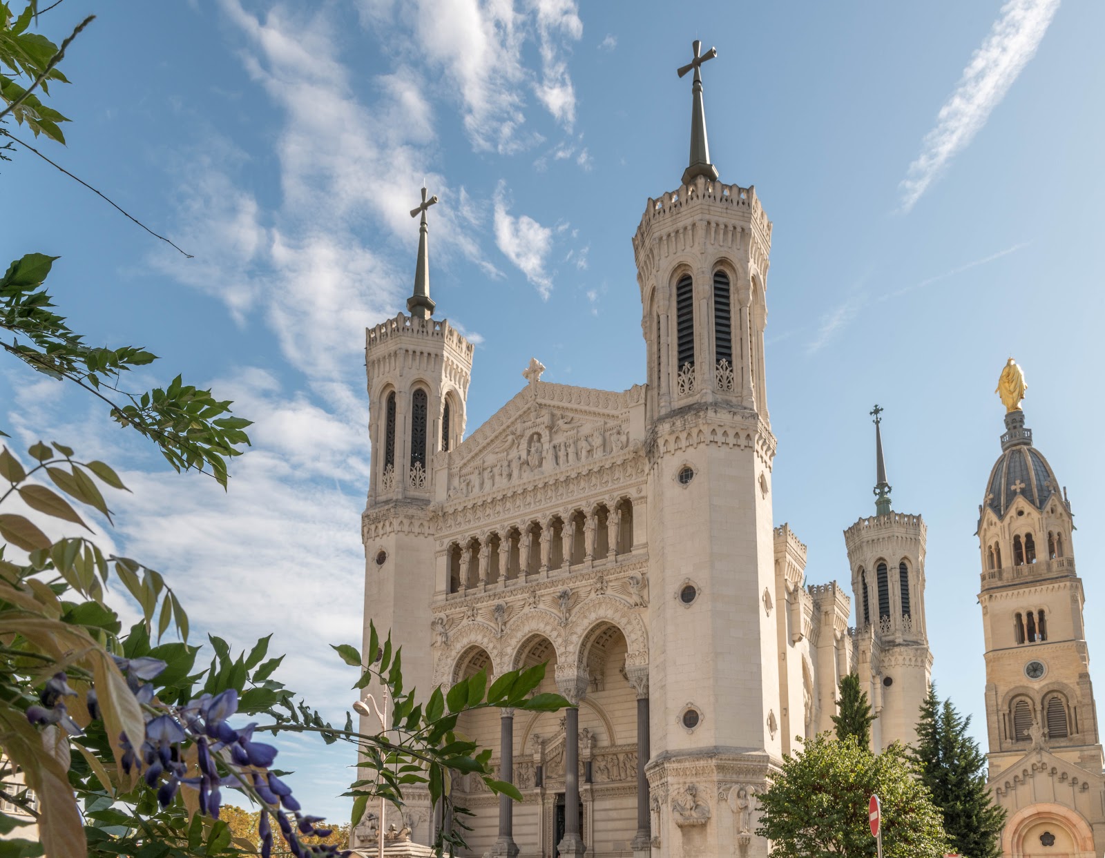 Best Dog-Friendly Hotels in Lyon, France