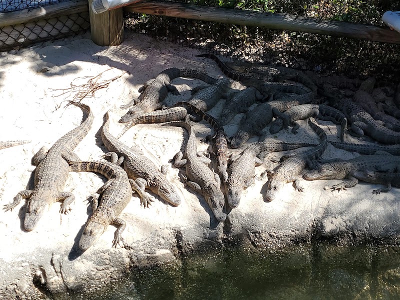 Congo River Golf banner