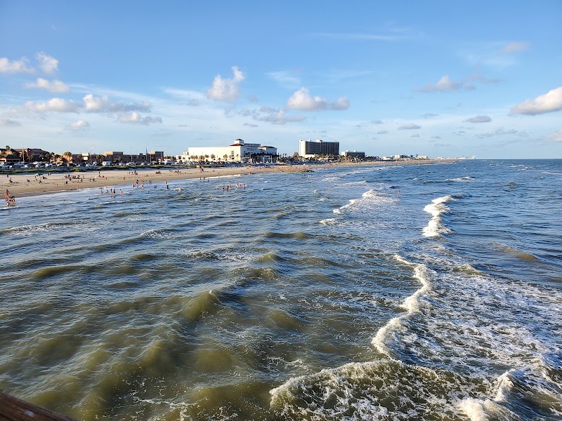 Galveston Beach in Galveston