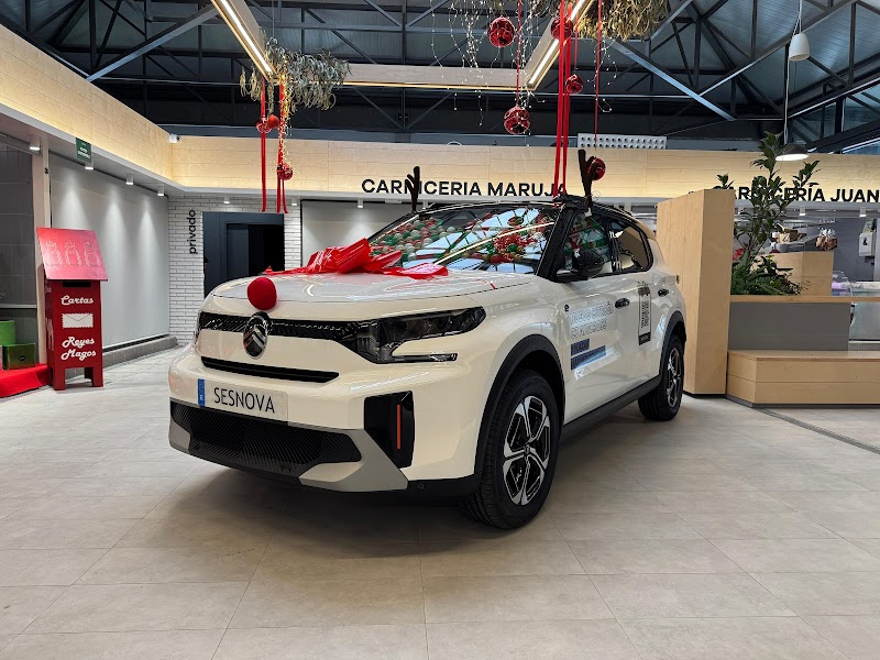 Citröen Sesnova photo 2