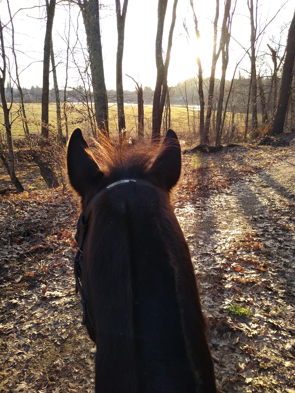 Stoney Hill Farm
