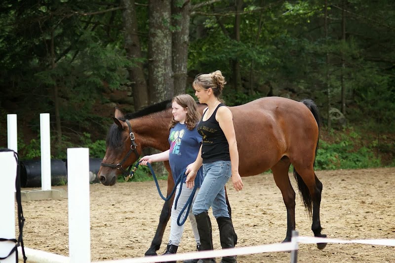 Stoney Hill Farm - Photo 1