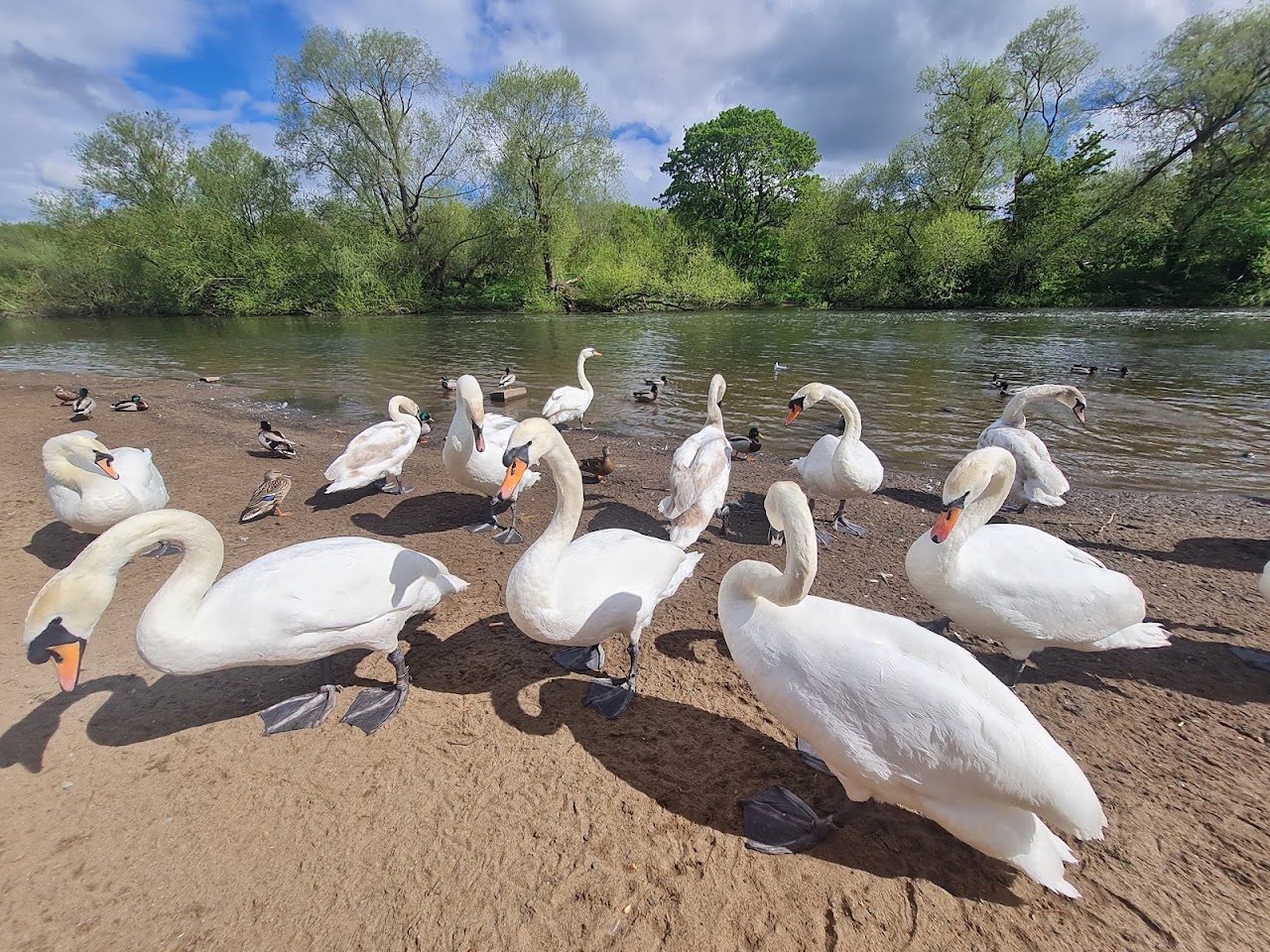 Riverside Park Chester-le-Street