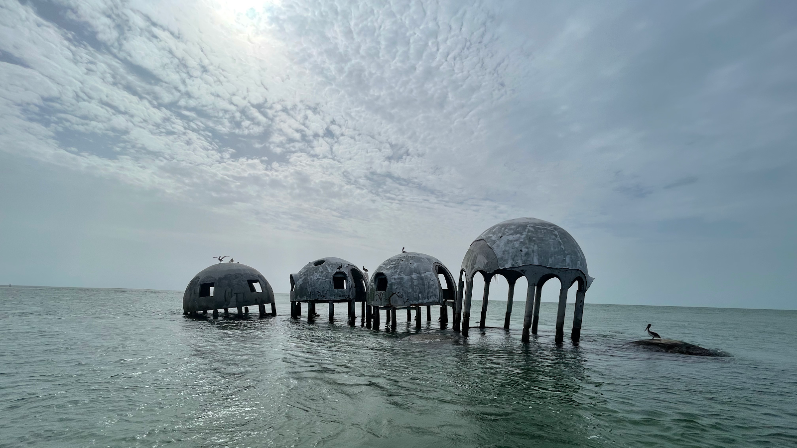 Dreamlander Tours of Marco Island
