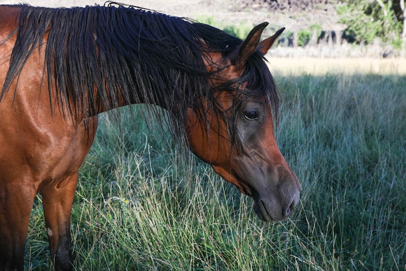 Eagle Mountain Ranch - Photo 6