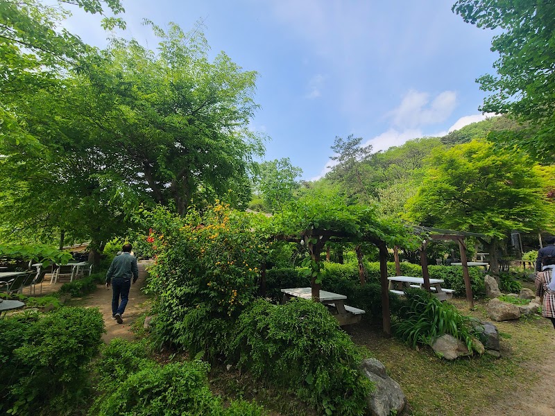 흙과나무 사진 4