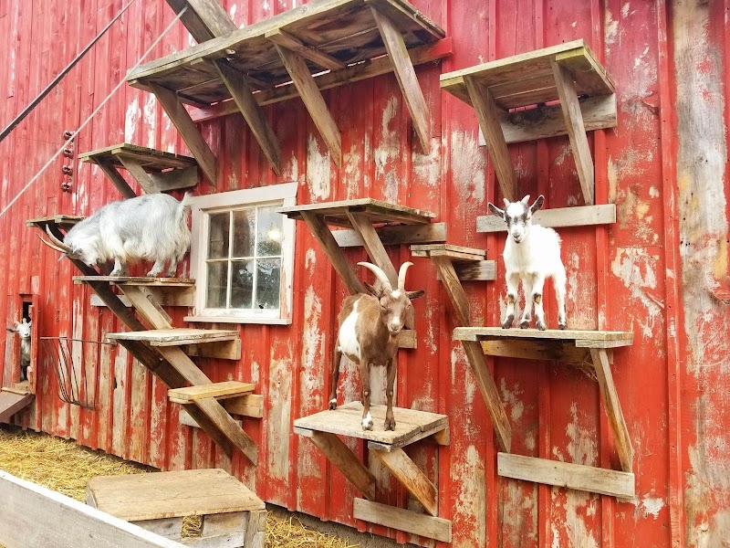 Clovermead Adventure Farm | Honey Shop photo 4