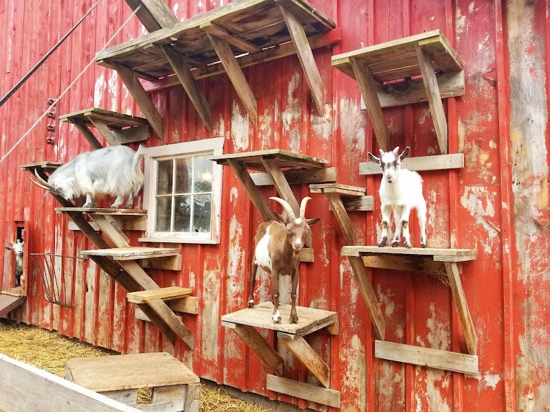 Clovermead Adventure Farm | Honey Shop photo 4