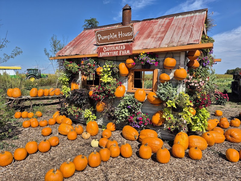Clovermead Adventure Farm | Honey Shop photo 3