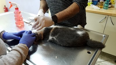 מרפאה וטרינרית חברים לחיים - ד"ר ניסים אריאל