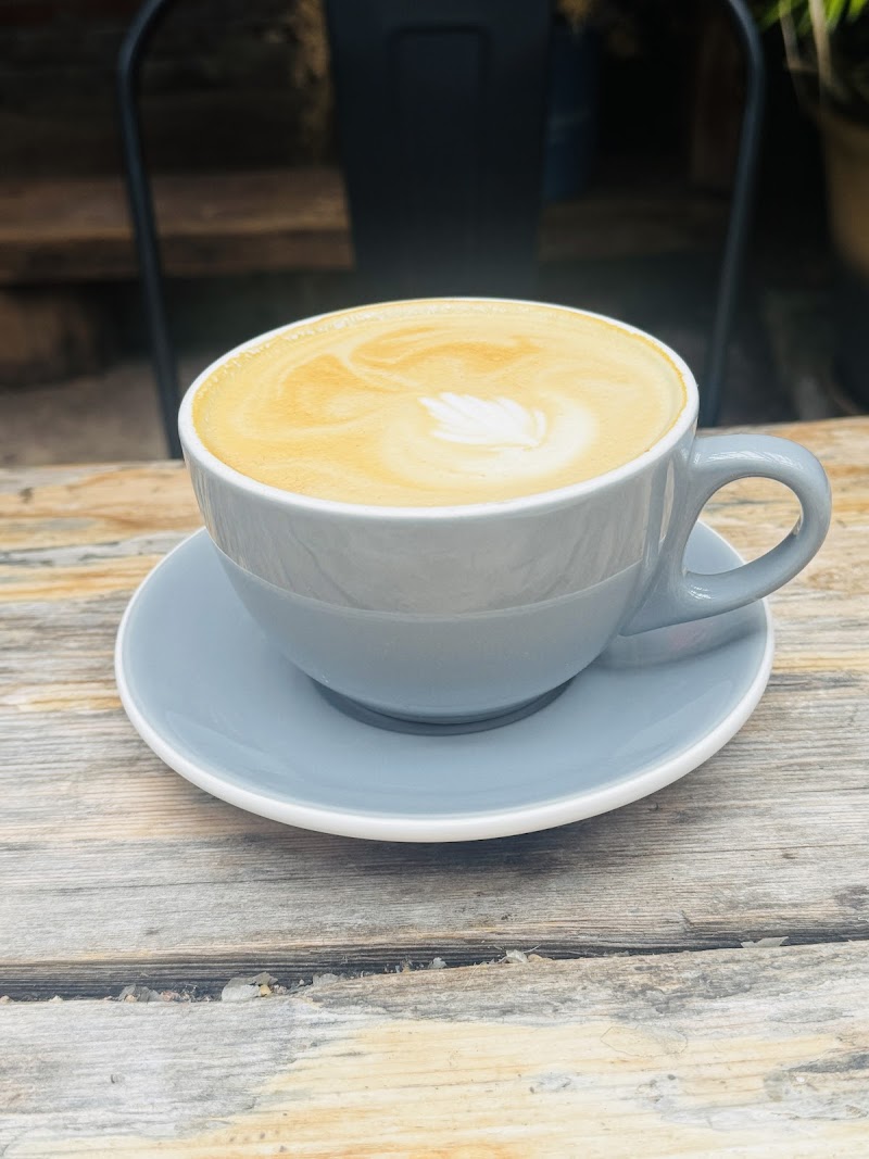 little pecks photo 4