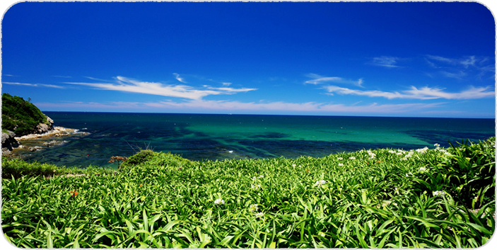 まつばせレディースクリニックの外観