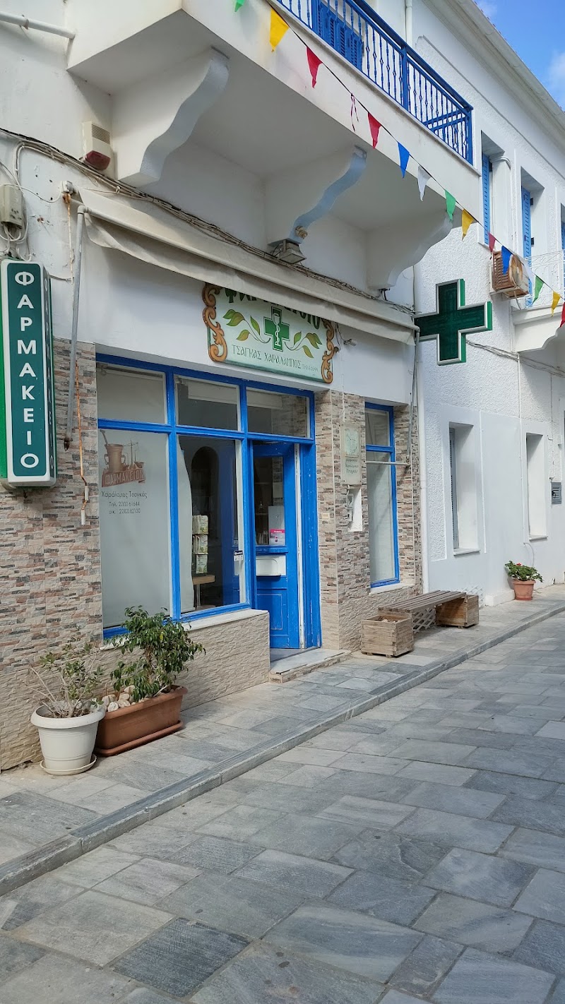 ΤΣΑΓΚΑΣ ΧΑΡΑΛΑΜΠΟΣ