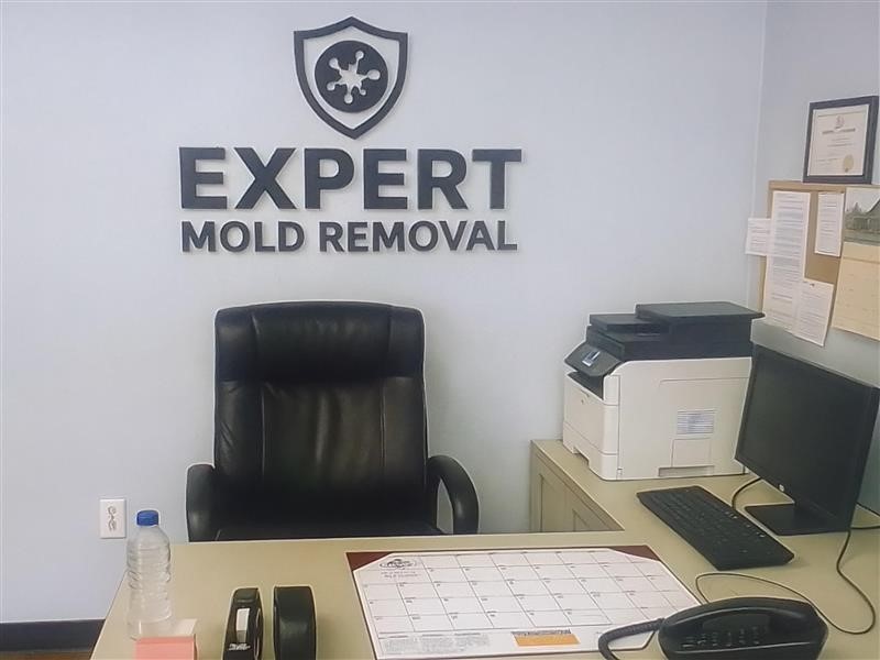Expert Mold Removal - Florissant, MO — photo