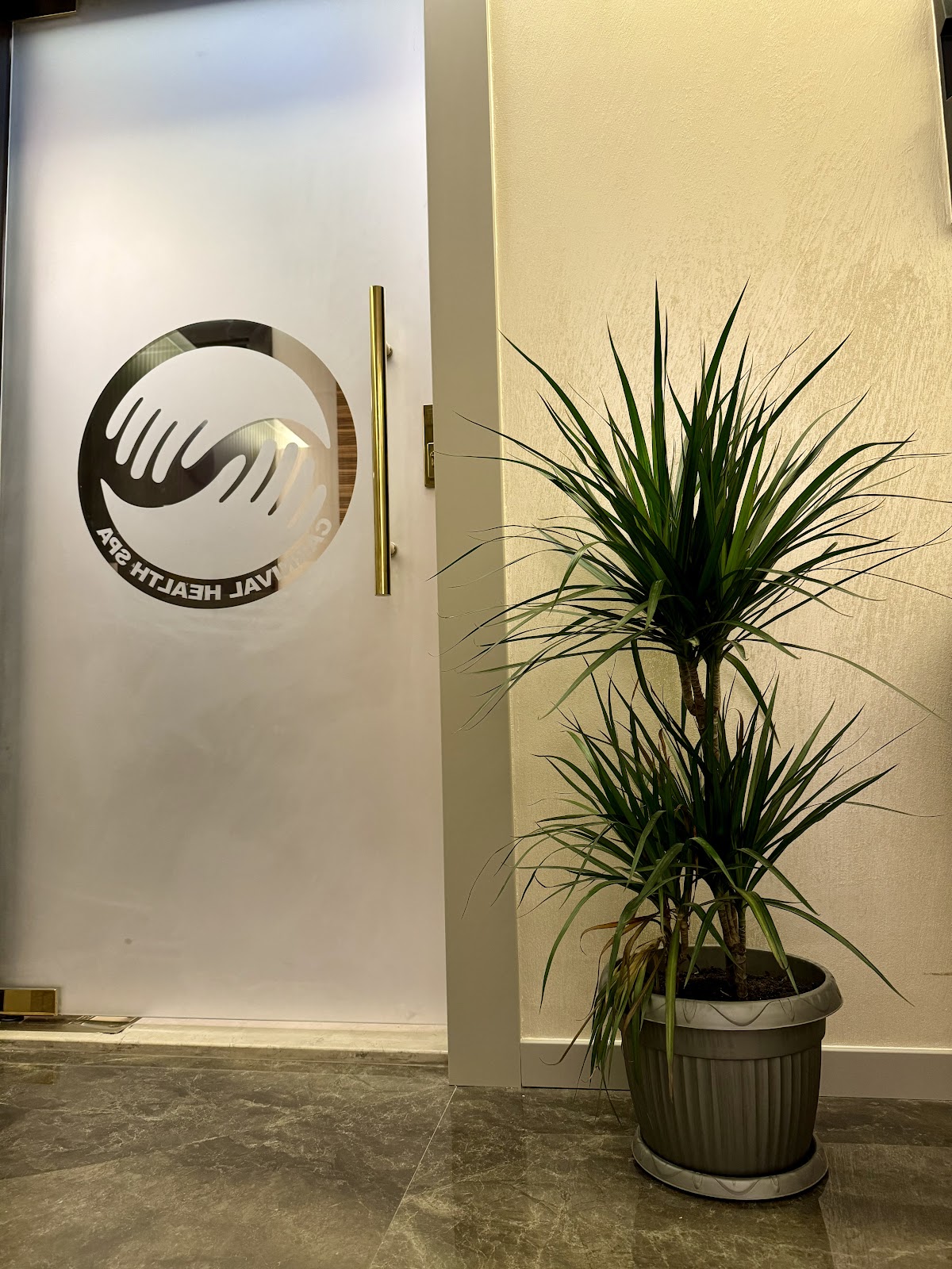 Carnival Platinum Spa by Hilton DoubleTree Al Barsha 4