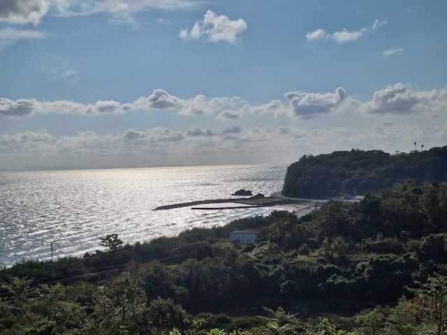 Pacific Blue Country Club - Photo 10