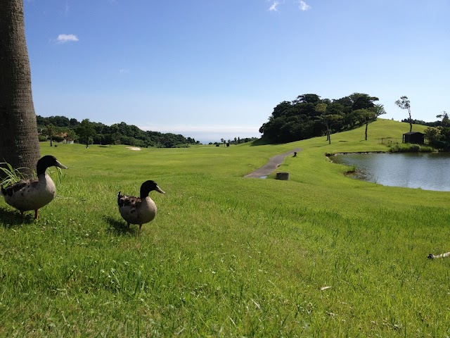 Pacific Blue Country Club - Photo 1