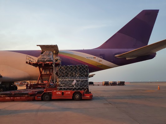 صالة السعودية للشحن