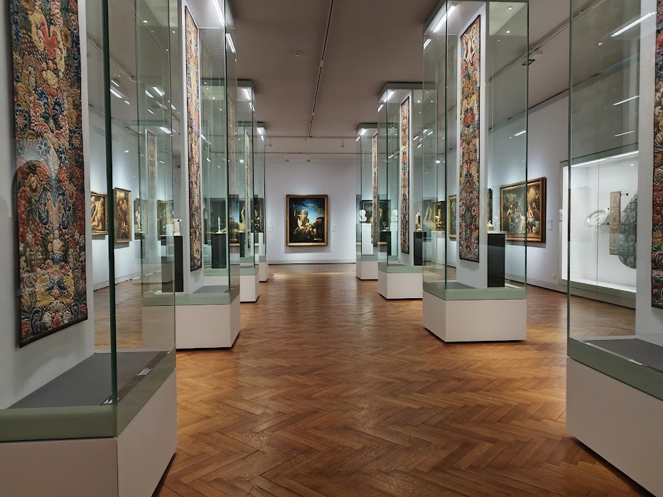 National Museum in Warsaw fotoğraf 1