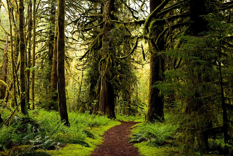 Nick Sopczak Photography