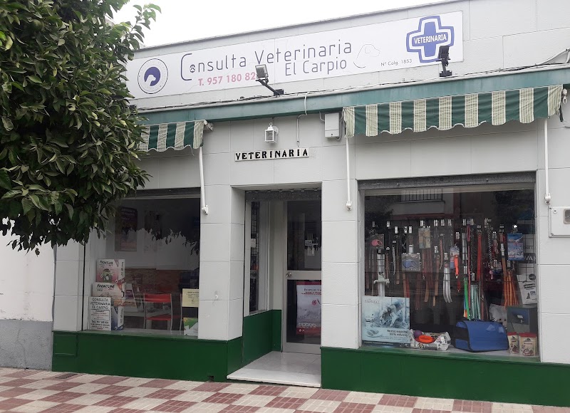 Consulta Veterinaria El Carpio