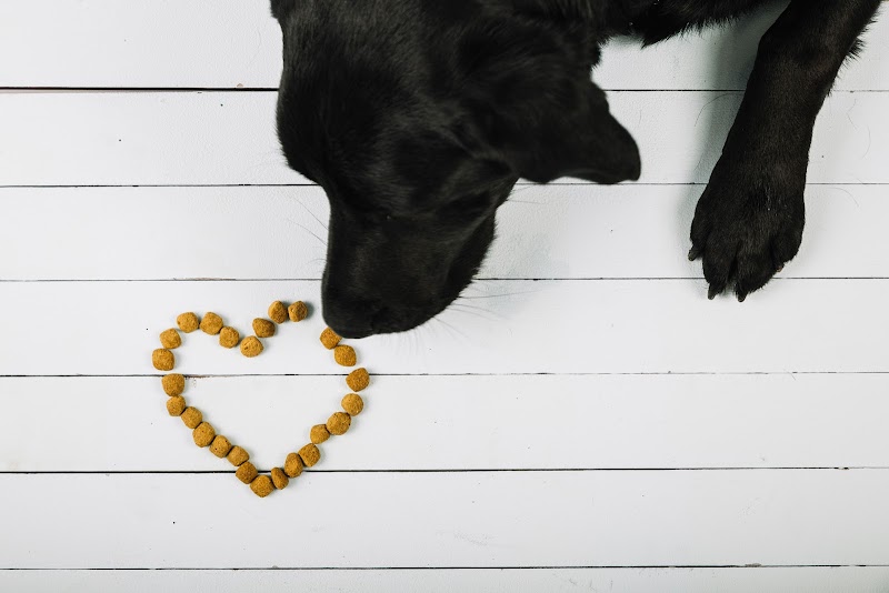 Zoofarma.Farmacia veterinaria Almería