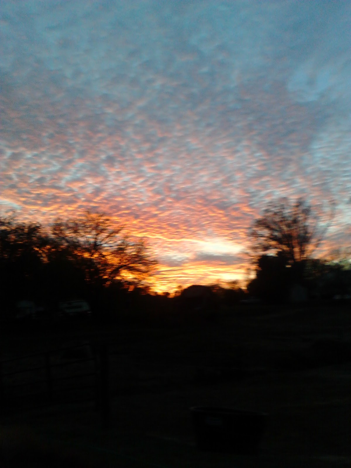 Beech Grove Farm
