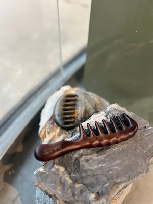 Hair Vision by Holly photo 3