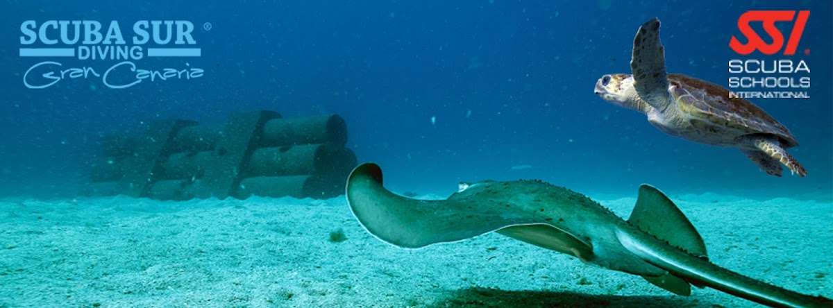 Scuba Courses in Arguineguín