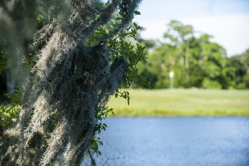 Sunkist Country Club photo