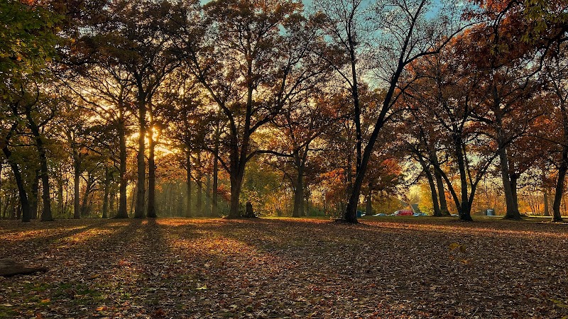 Shorewood Disc Golf Course photo 4