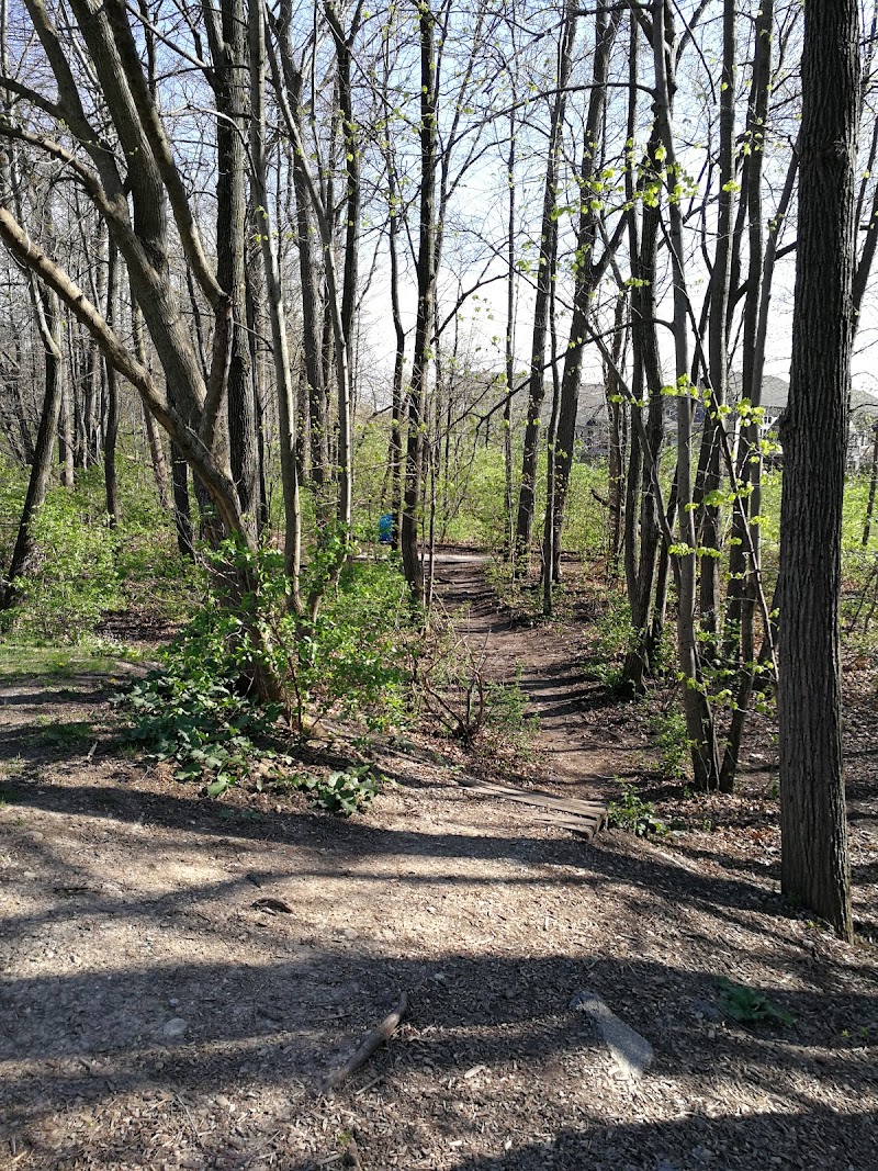 Shorewood Disc Golf Course photo 5