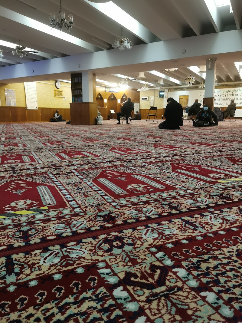 The Islamic Federal in Denmark photo 5