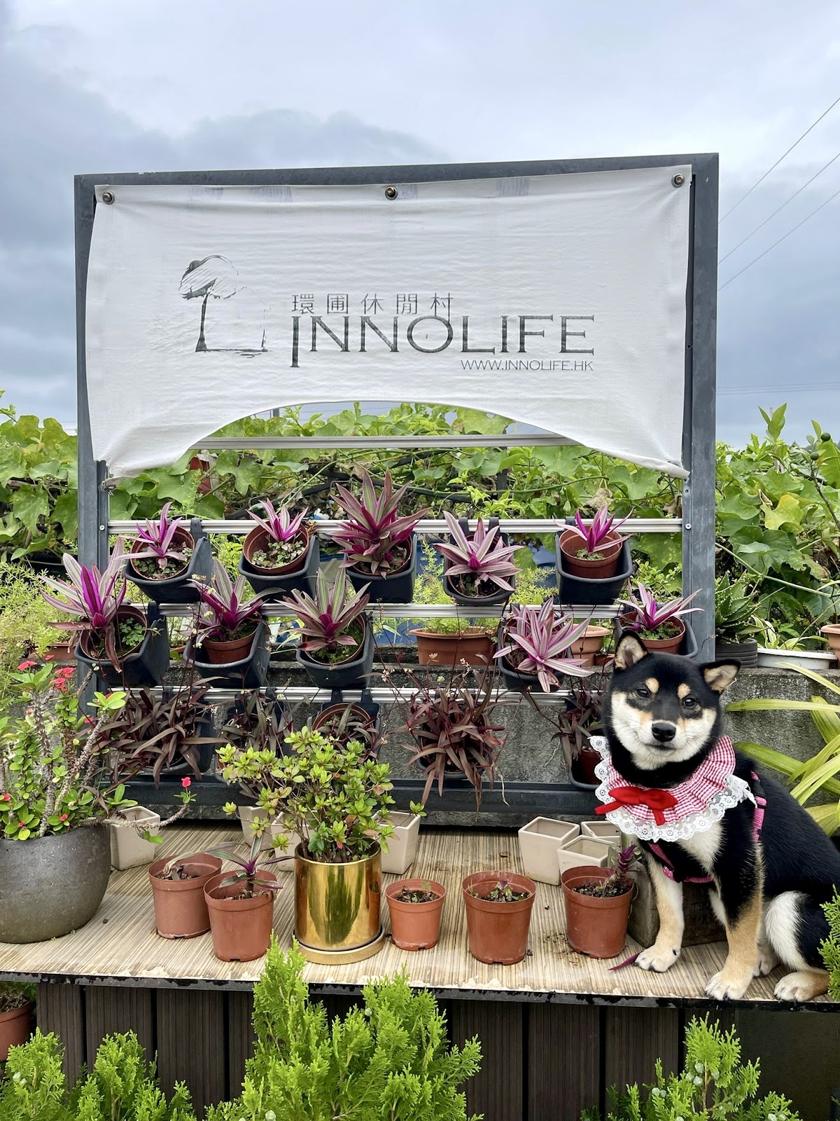 Innolife — photo 8