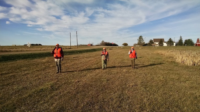 R & R Pheasant Hunting - Photo 3