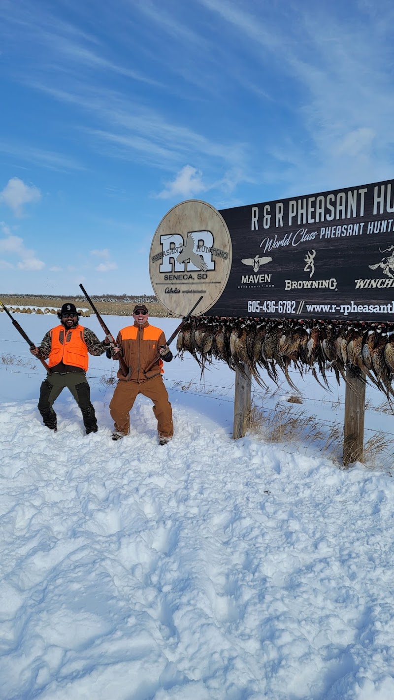 R & R Pheasant Hunting - Photo 6