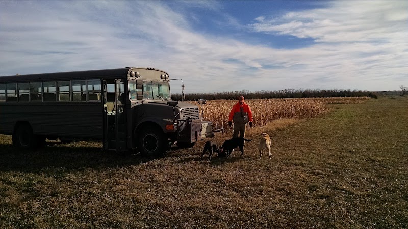 R & R Pheasant Hunting - Photo 4