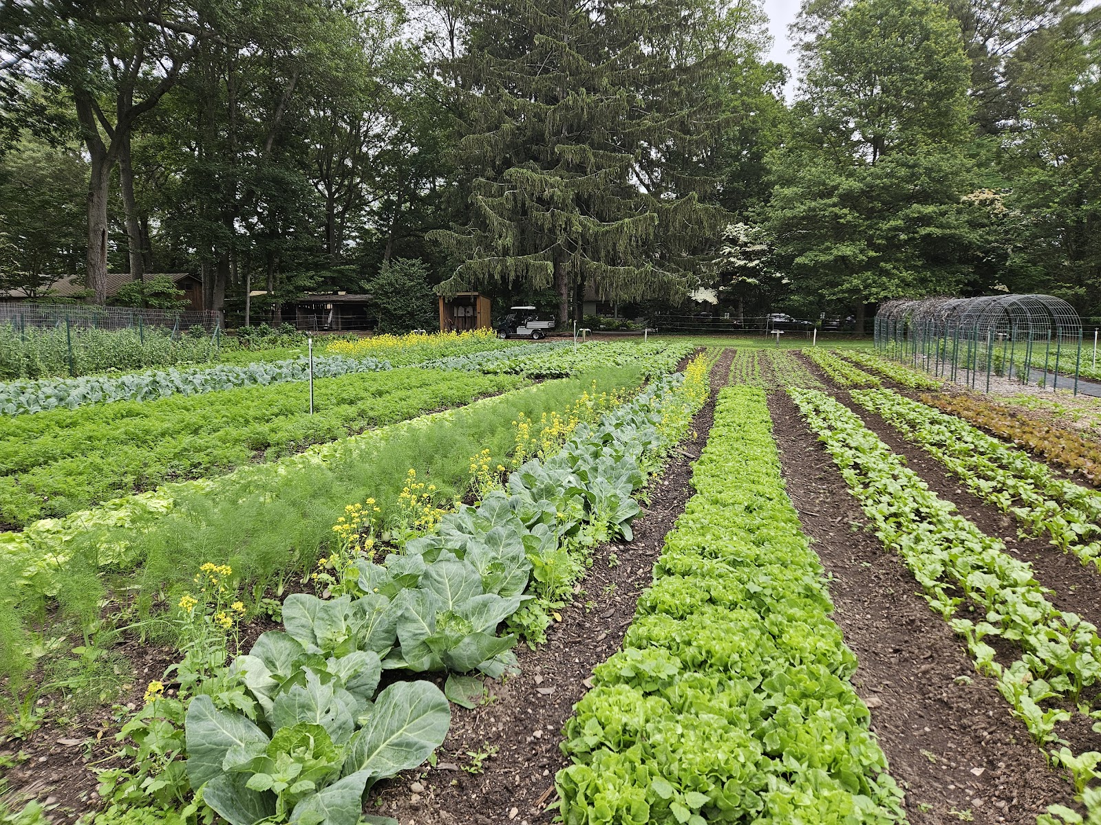 ELIJA Farm