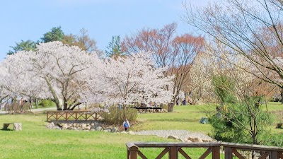 Matsumoto Alps Park - 1