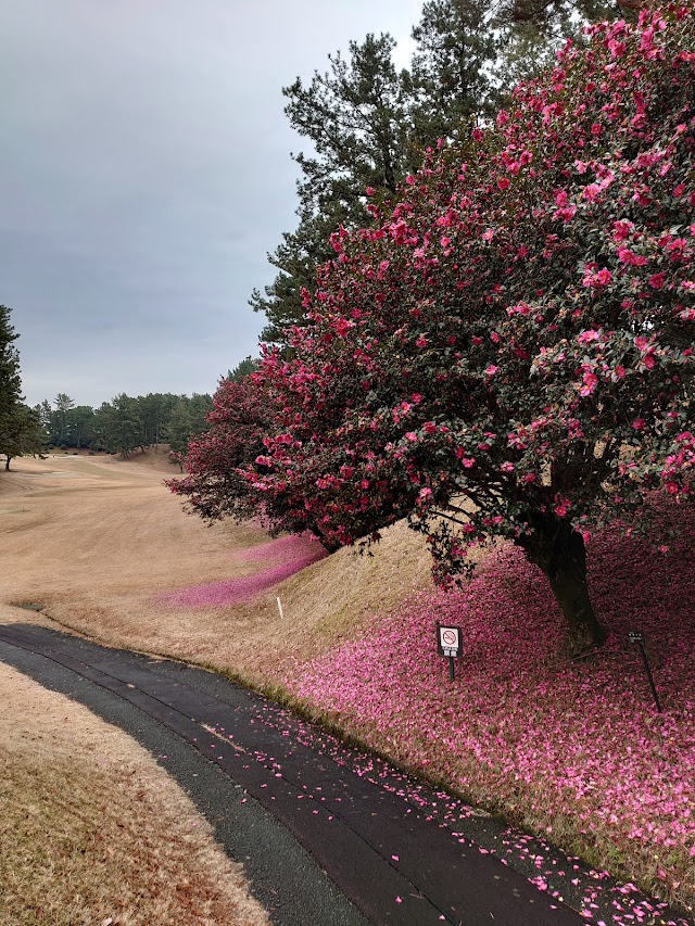 Tokai Country Club Toyokawa Course - Photo 7