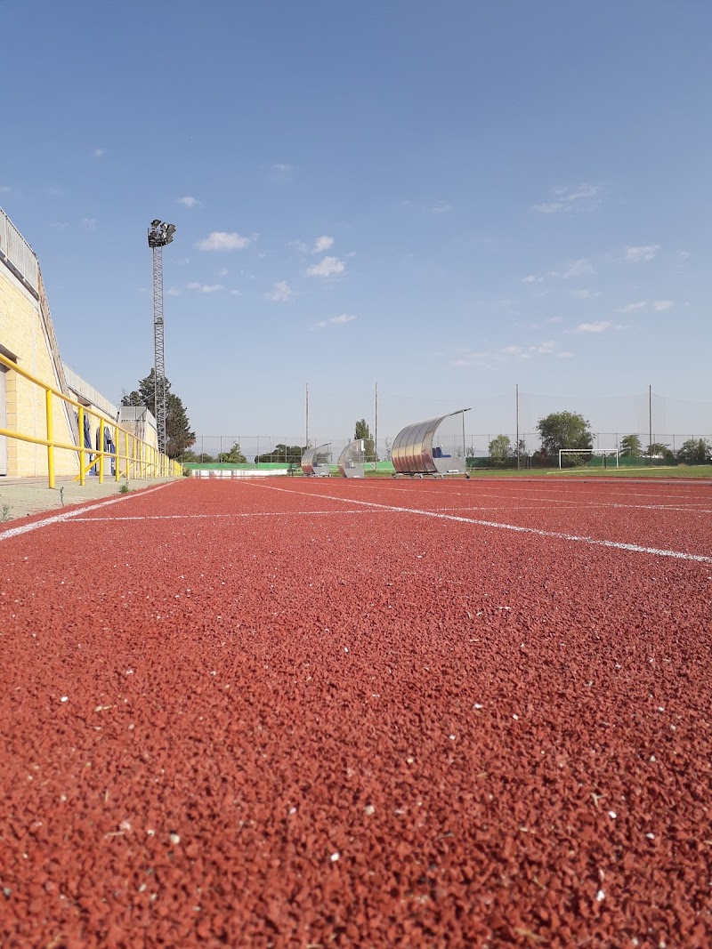 Centro Deportivo Municipal Santa Ana - Martín Temiño